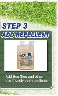 srgstepbystep02_03.jpg